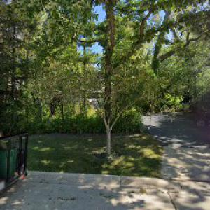 Superior Tree Service