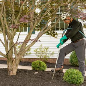 The Davey Tree Expert Company