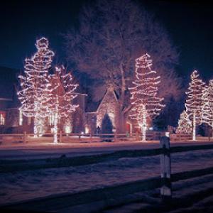 SavATree - Tree Service & Lawn Care