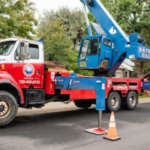 Patriot Tree Company