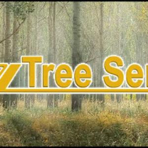 Cruz Tree Service