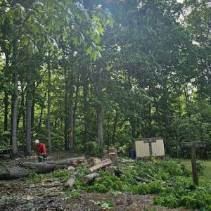 Leon's Landscape & Tree Service