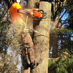 K&M Tree Services