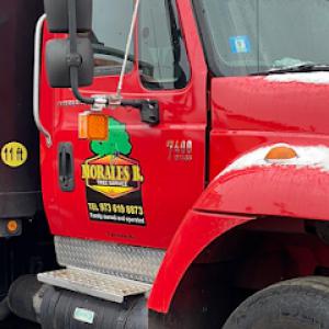 Morales Brothers Tree Service
