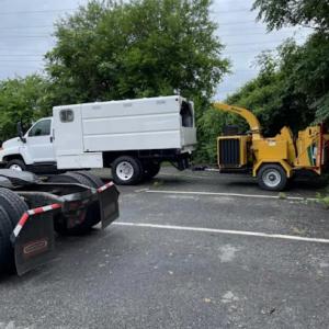 Creative Tree Service