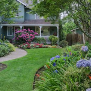 Midwest Landscaping Design & Tree Service