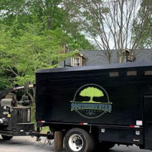 Southern Star Tree Services