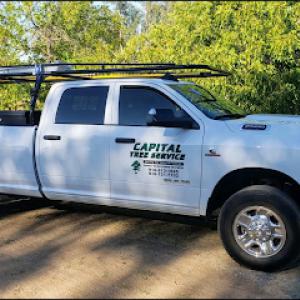 Capital Tree Service