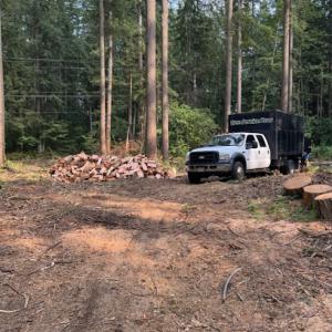 Modern Tree Solutions