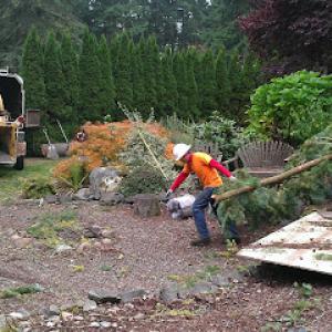 Hiebert Tree Service