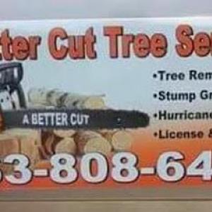 A Better Cut Tree Service