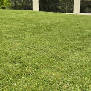 No Sweat Lawn Maintenance