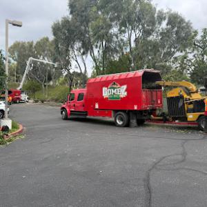 Gomez Landscape & Tree Care