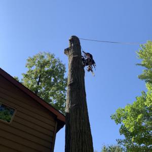 Skyview Tree Service