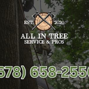 All In Tree Service of Smyrna