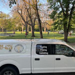 The Crown Jewell Tree Care