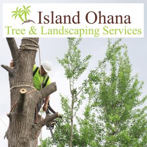 Island Ohana Tree Services
