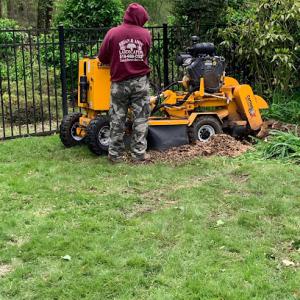 Brian & Andy Landscaping & Tree Service