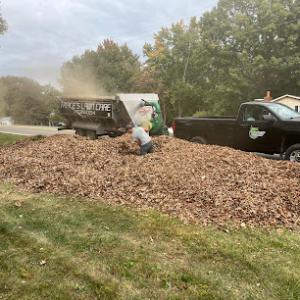 Trace's Lawn Care & Tree Service