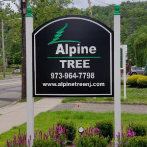 Alpine Tree Service