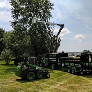 Tree Tech Services of Northeast Ohio