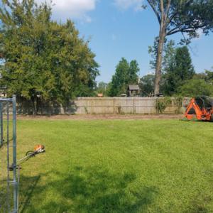 Chris' Professional Stump Removal