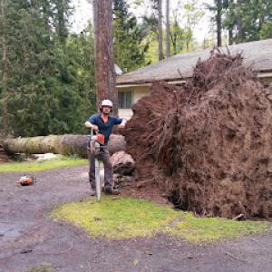 Gentlemens Tree Service
