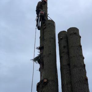 J & K Tree Service
