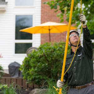 The Davey Tree Expert Company