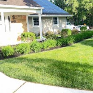 Prestige Tick shrub & lawn Care