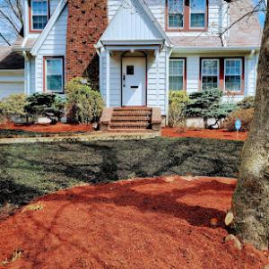 Willy & Luis General Construction Landscaping & Tree Service