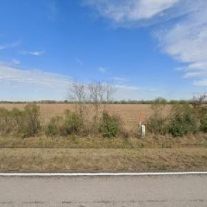 Maria's Tree Service