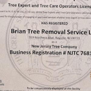 Brian's Tree Removal Service