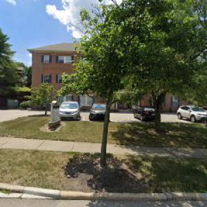 All Seasons Tree Pros