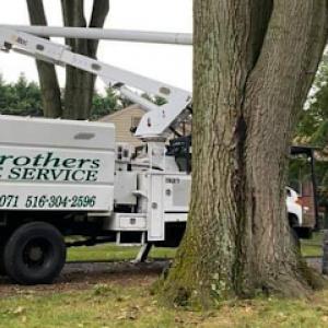3 Brothers Tree Service