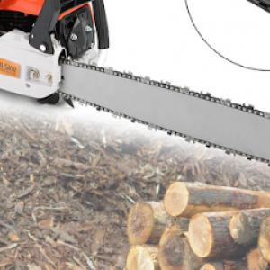 Beaufort tree care Lopez