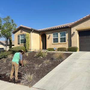 José Torres Landscaping