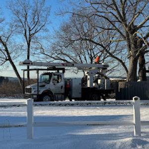 Collins Tree Service