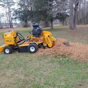 Woodys stump grinding & services