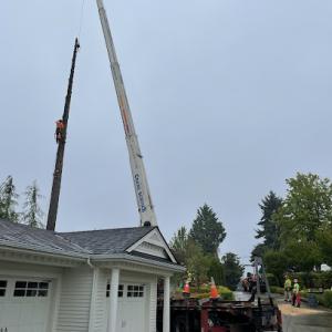 Eastside Timber & Property Development