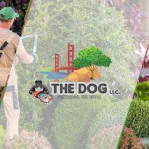 The Dog Tree Service