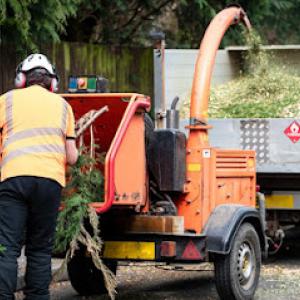 Redwood City Tree Service