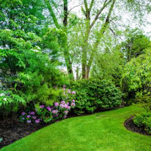 Jon Sneider Lawn Care & Tree Service