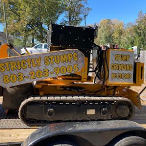 Strictly Stumps