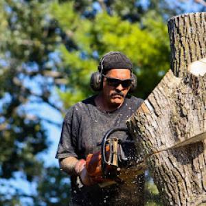 Eric Cartwright's Custom Tree Care