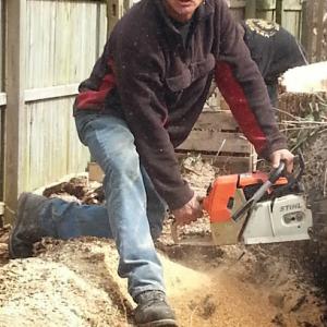 American Arborists Tree Service