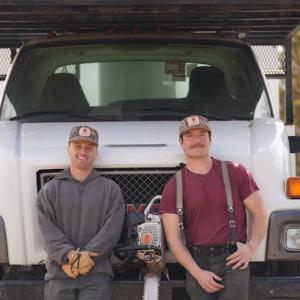 Desert Pine Arbor Care