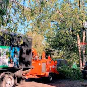 Four Brothers Tree Service