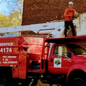 Reyes Tree Service