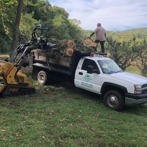 Nwa Brothers Tree Service